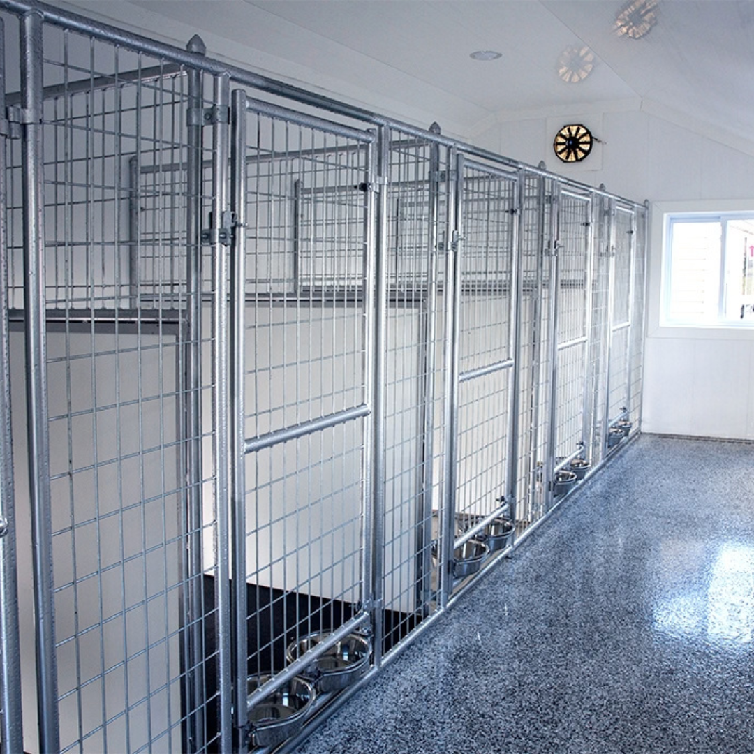 Bird in Hand 20×28 5-Run Commercial Kennel