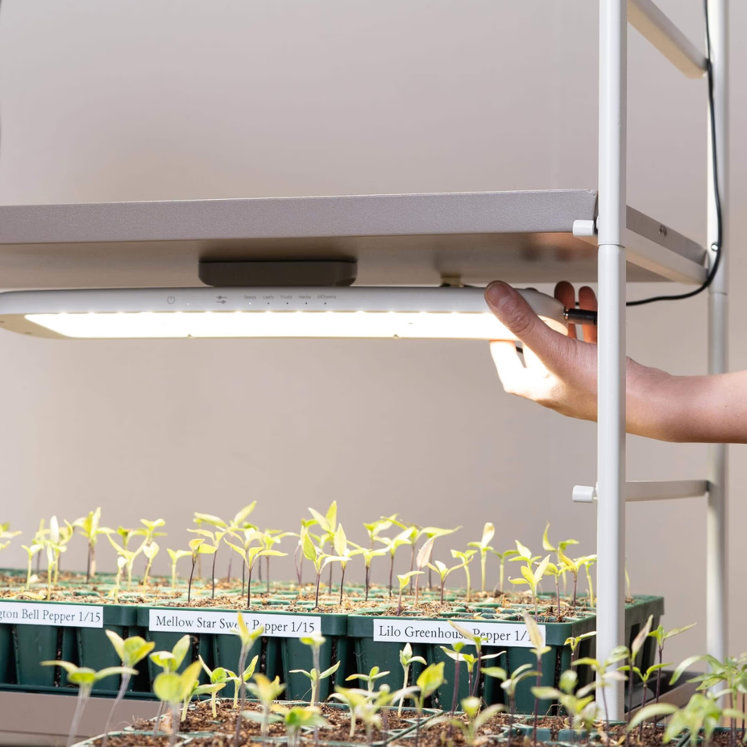 Vego Grow Light Garden Conversion Kit