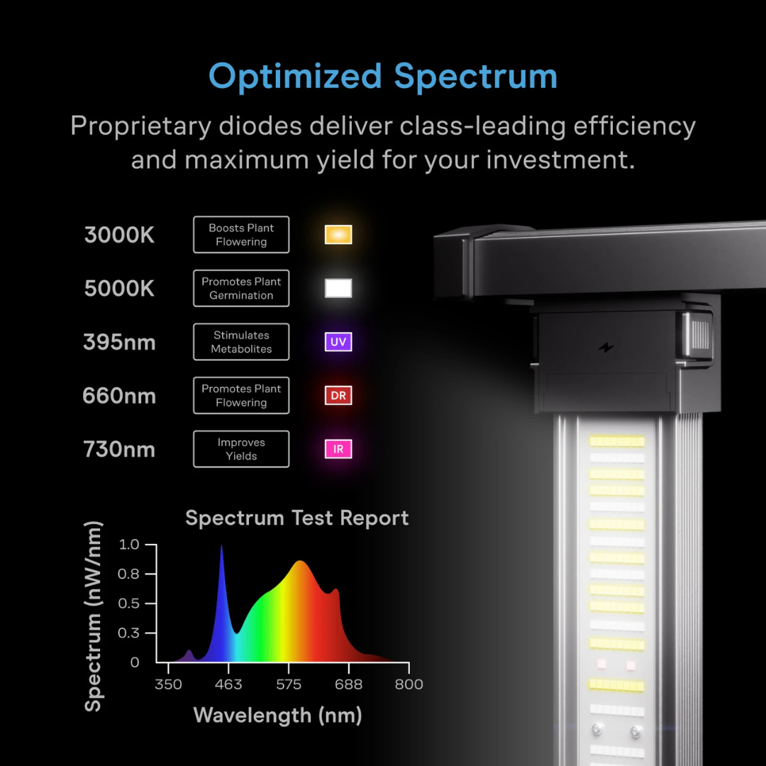 AC Infinity IONPRIME 10, Grow light 1000W, Adjustable-Angle Full Spectrum LED 5x5 Coverage