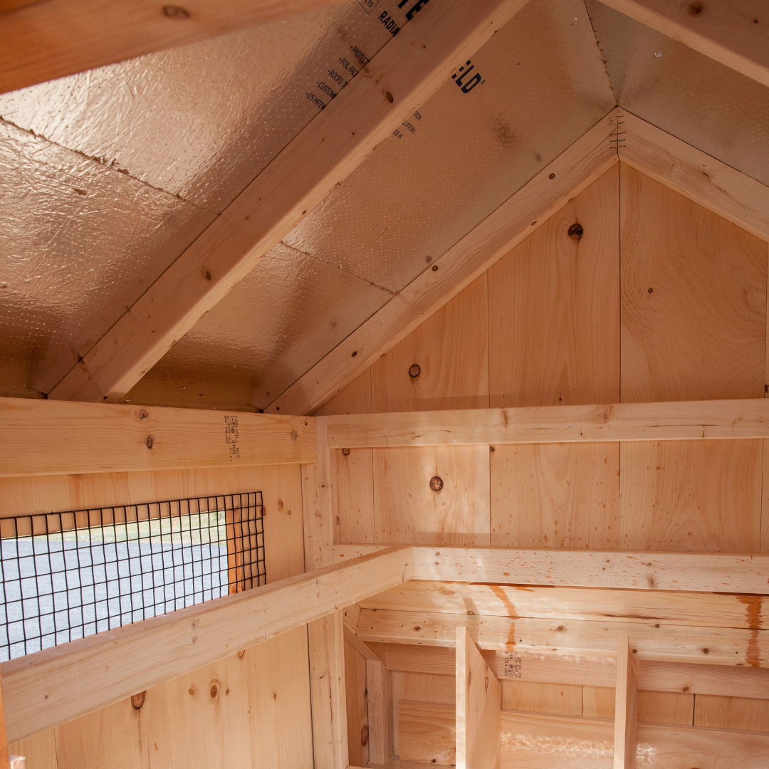 Bird-in-Hand 4×4 A-Frame Chicken Coop