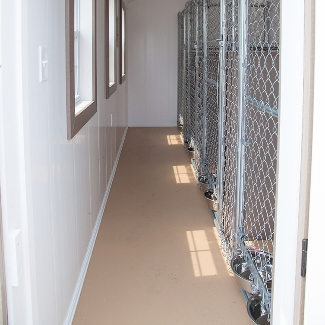 Bird in Hand 12×16 4-Run Commercial Kennel