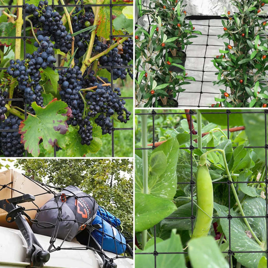 Vivosun 4 x 4Ft. Elastic Trellis Netting with 4 Hooks