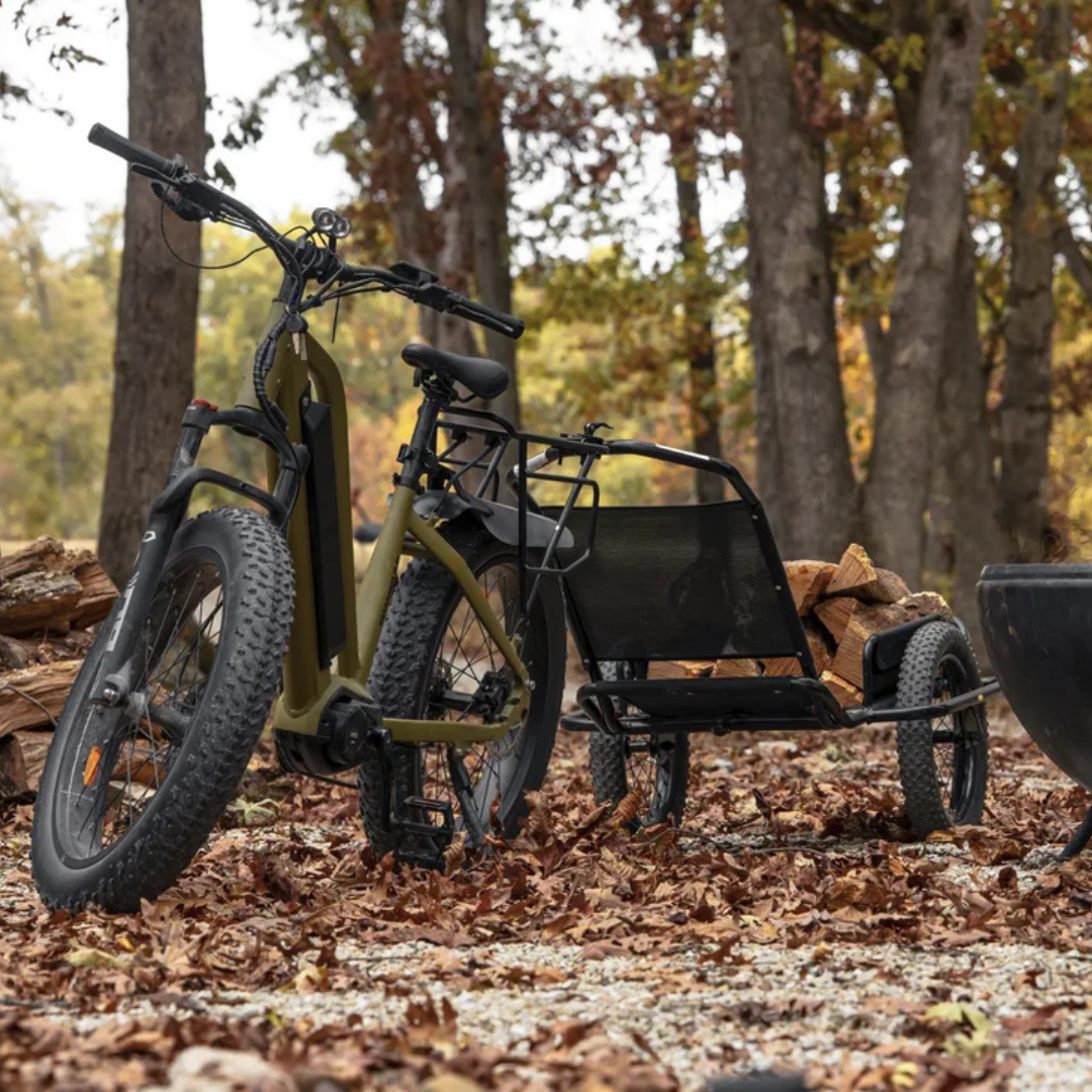 Rambo Bikes Roamer 2.0 – 15Ah