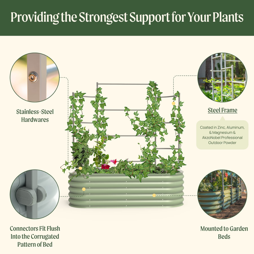 Vego Wall Trellis System