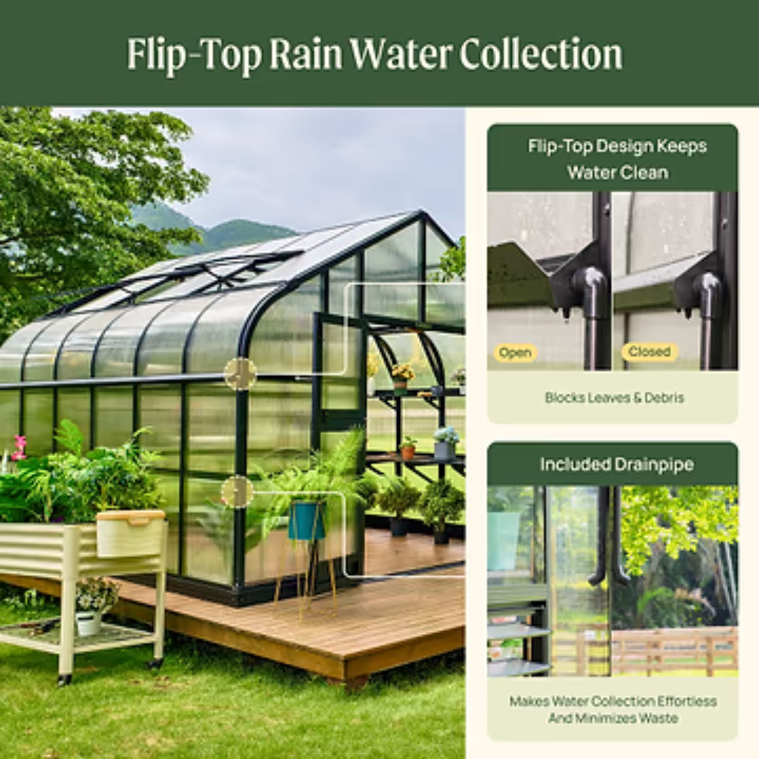 Vego Pacific Greenhouse - 10.5ft Wide