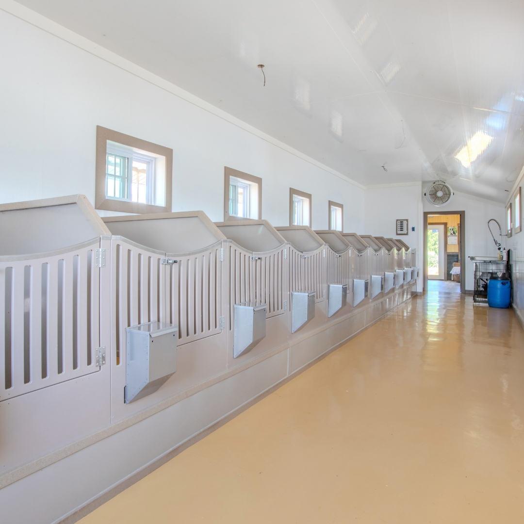 Bird in Hand 15×56 12-Run Commercial Kennel