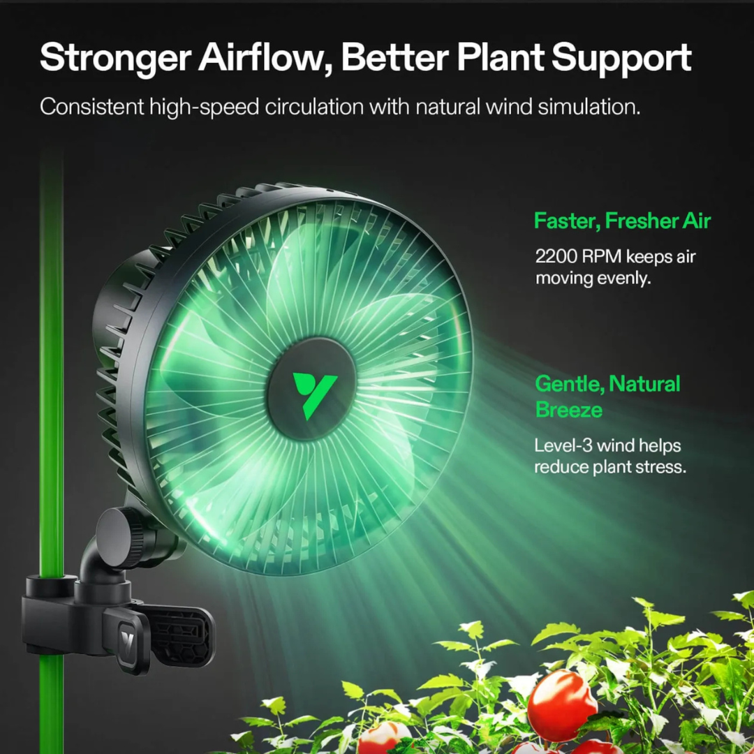 Vivosun AeroWave A6 Grow Tent Clip Fan, 6" Auto Oscillating Fan with AC Motor, for Hydroponic Ventilation, Black
