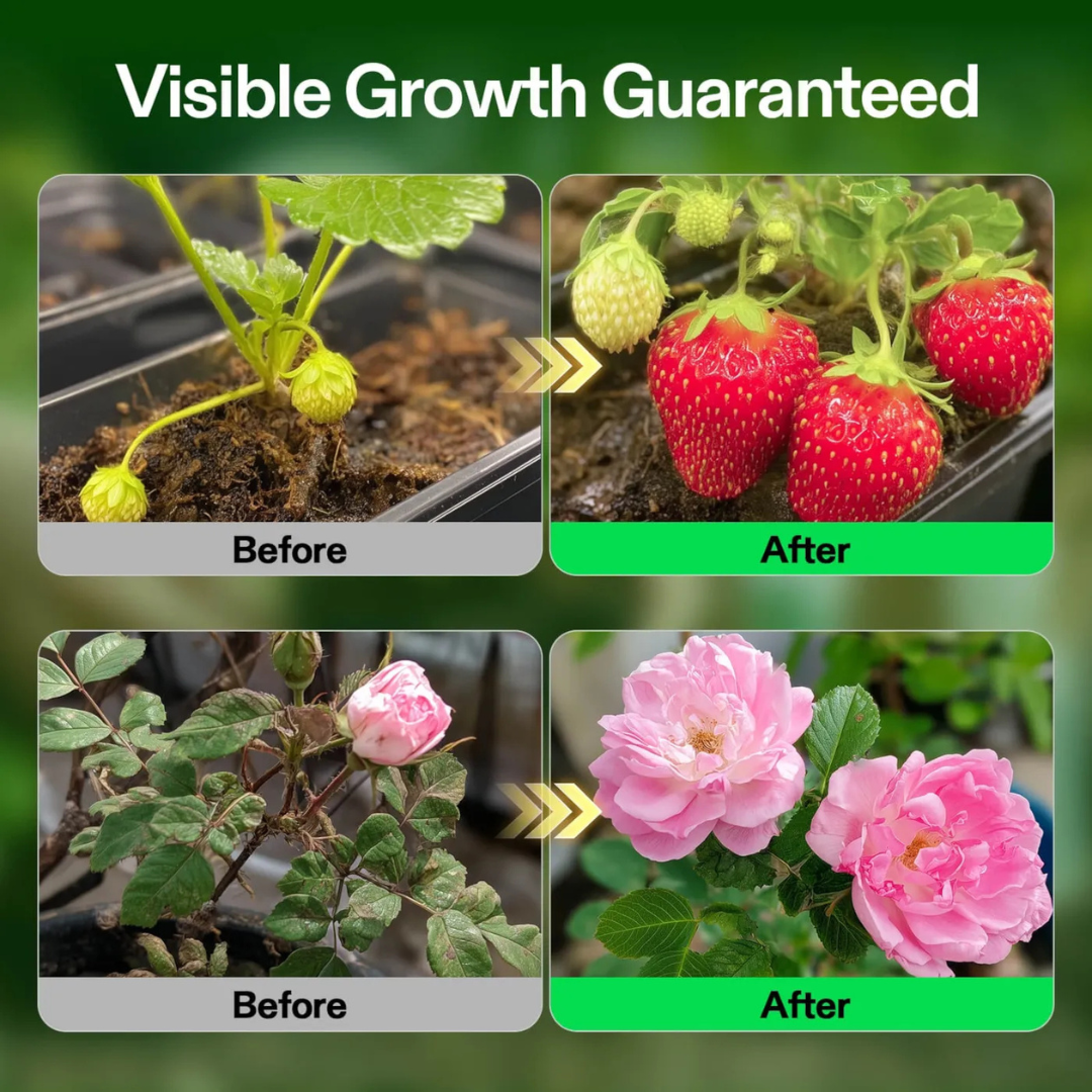 Vivosun Nutrients Base A & B Bundle, Liquid Fertilizer Supports Vegetative and Flowering Stage