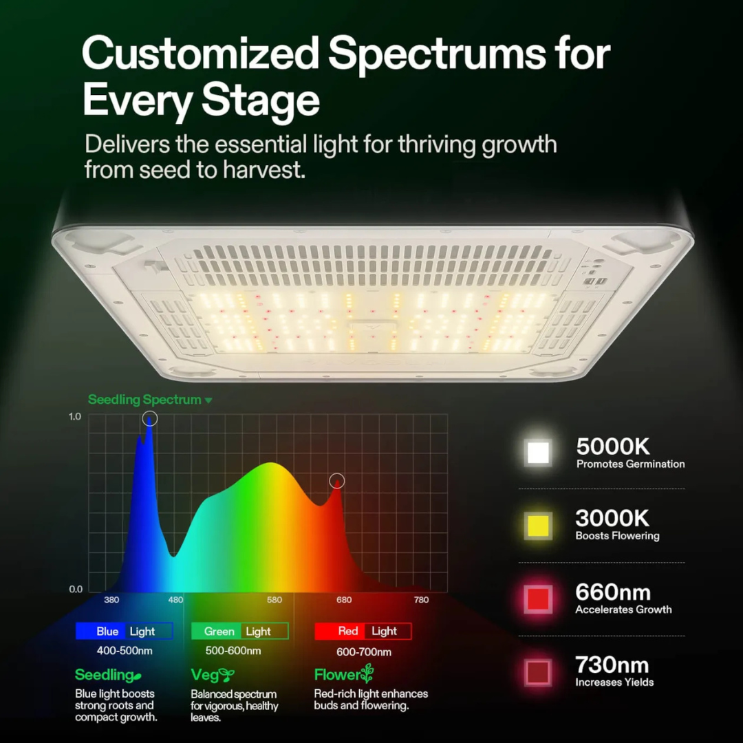 VivosunVGrow Y18 Smart Grow Box