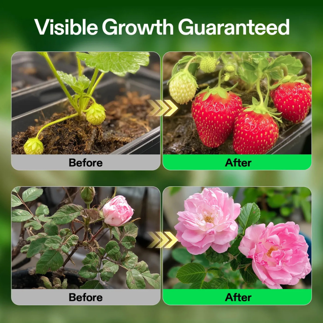 Vivosun Nutrients Base A & B Bundle, Liquid Fertilizer Supports Vegetative and Flowering Stage, 8oz