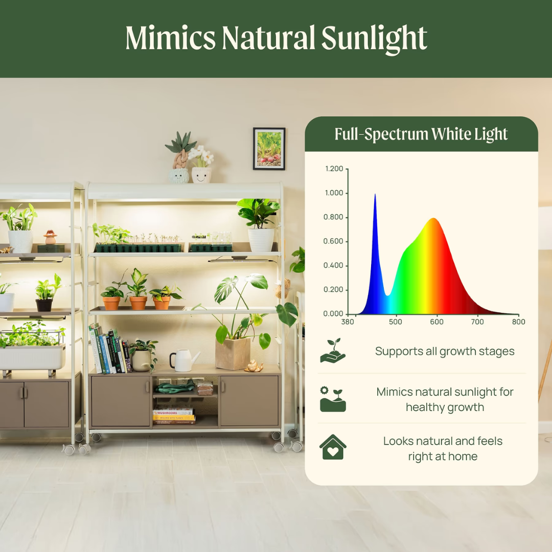 Vego 4 Tier Grow Light Garden