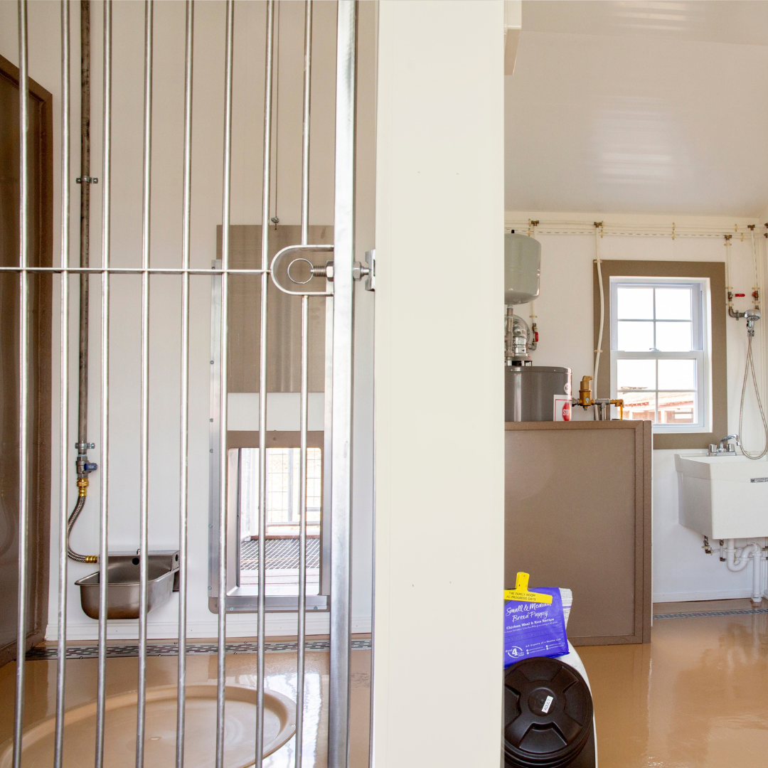 Bird in Hand 14×34 6-Run Commercial Kennel