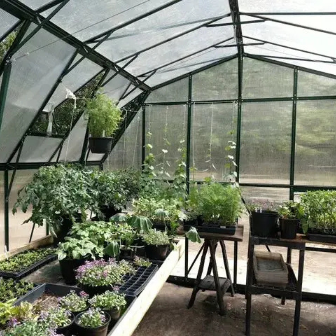 Grandio Summit 12x12 Greenhouse Kit