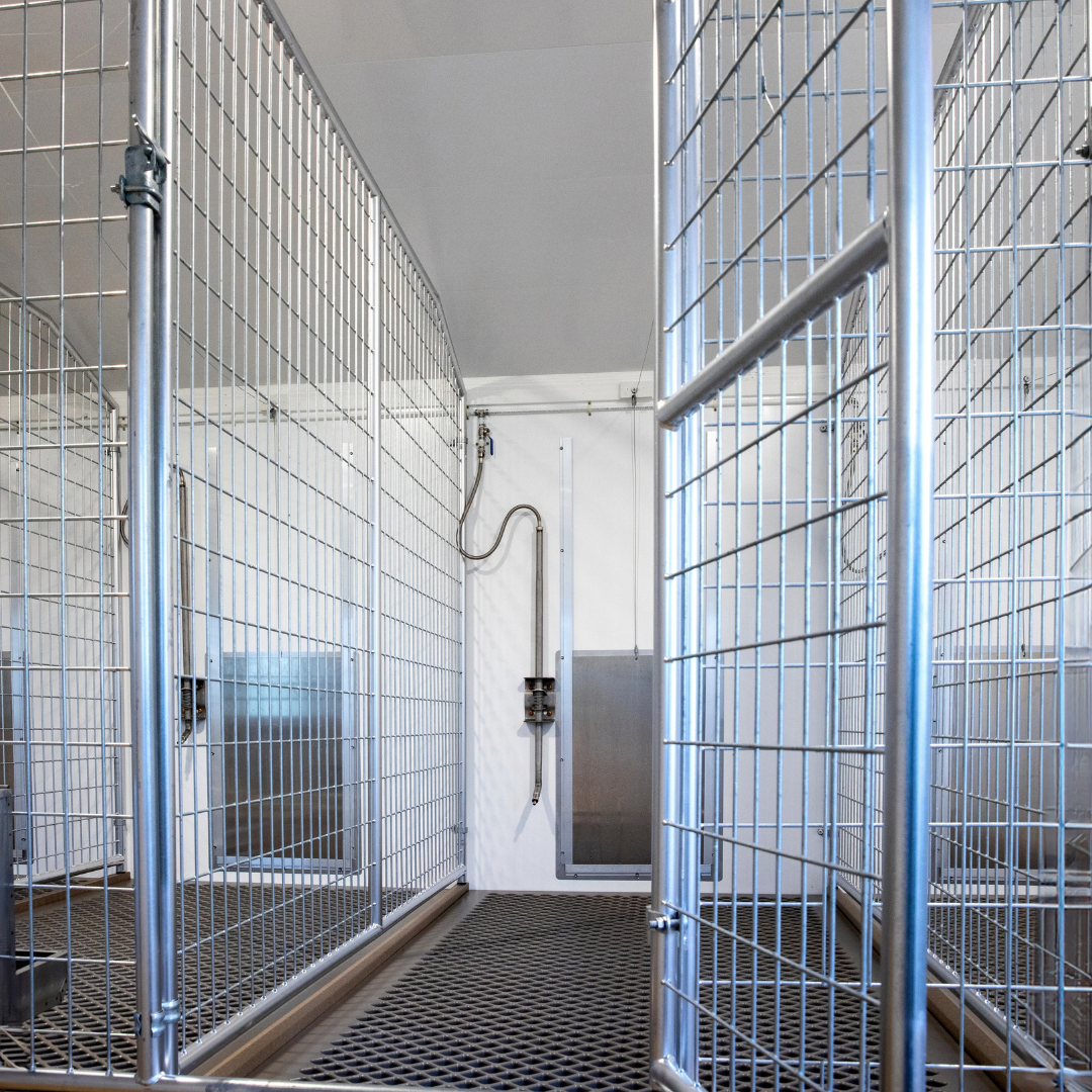 bird in Hand U-Shaped 40-Run Dog Commercial Kennel