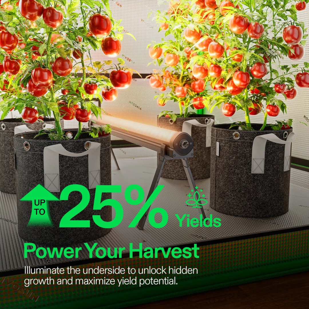 Vivosun LumaRay Under Canopy Lights, Full Spectrum Dimmable LED Grow Lights for Grow Tents, Greenhouses, SGS Compatible