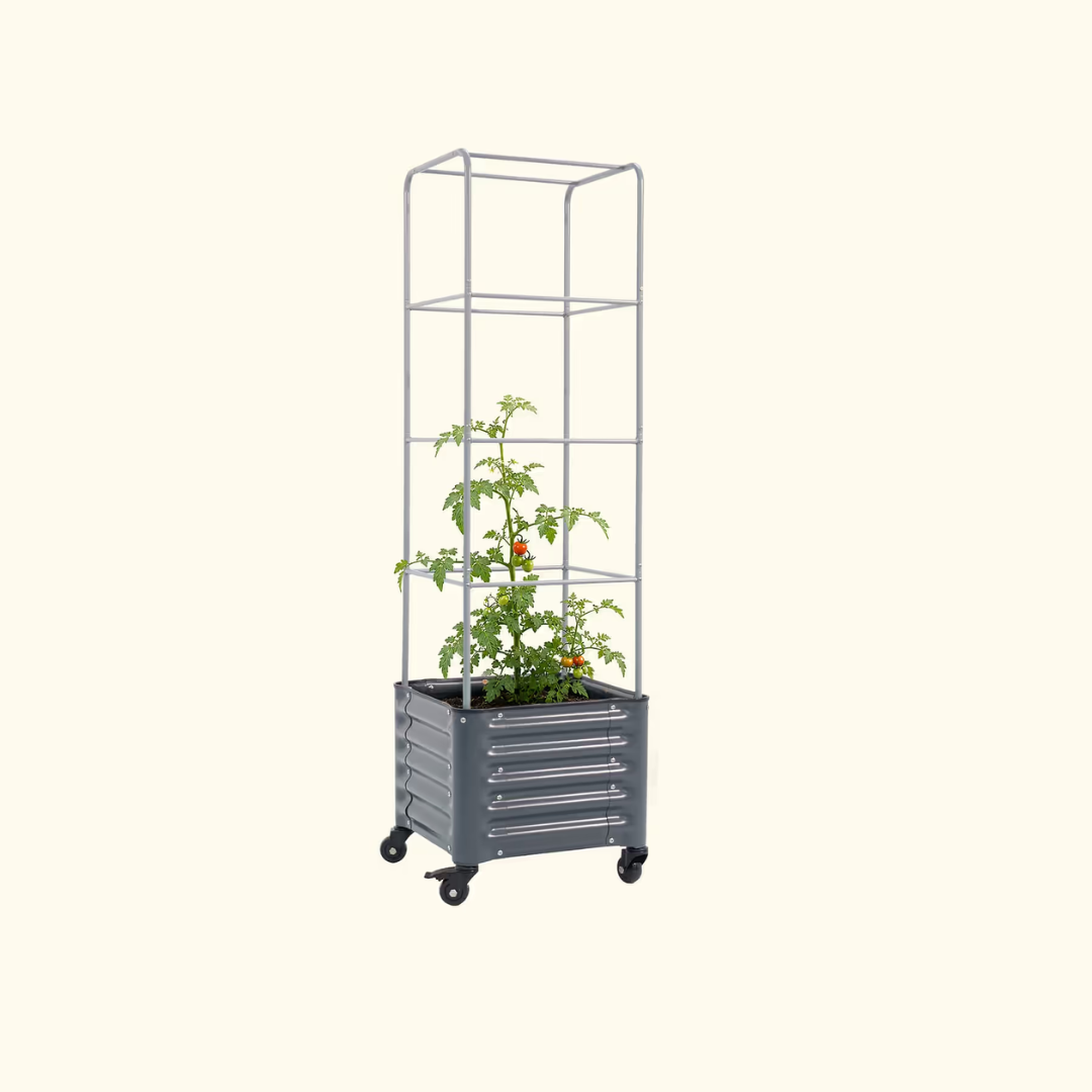 Vego Classic Rolling Cube Tomato Planter