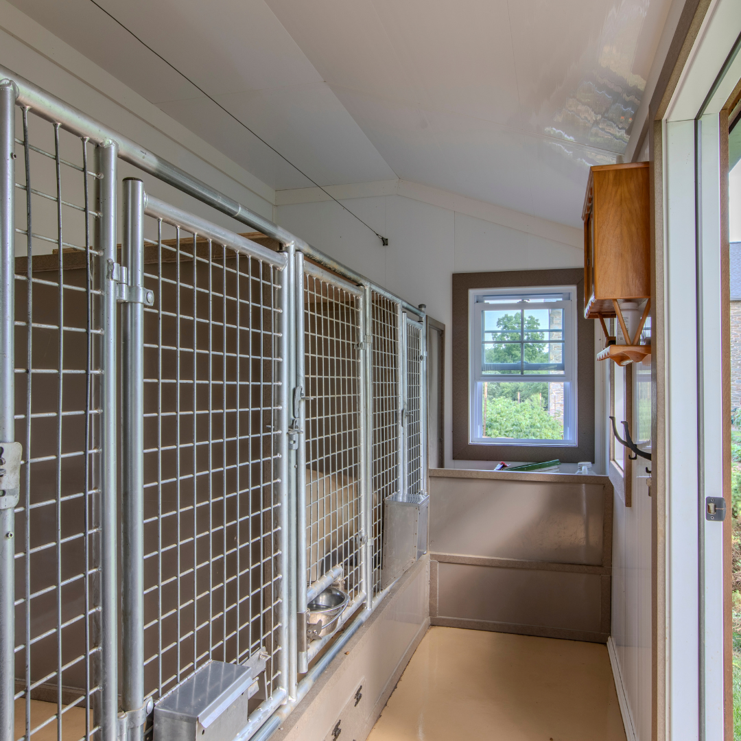 Bird in Hand 12×17 5-Run Commercial Kennel