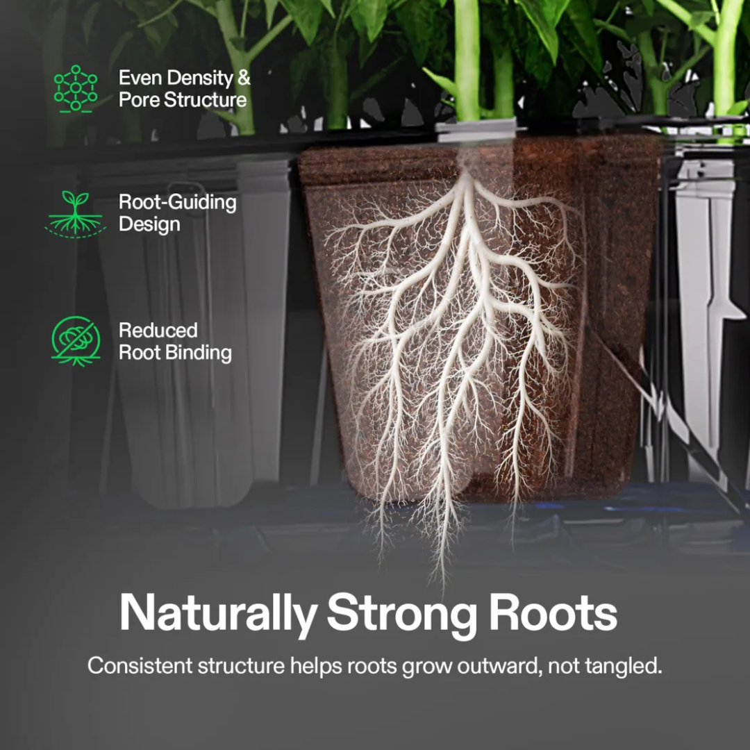 Vivosun Seed Rooter, Plant Starter Plugs, Support Robust Roots for Seedlings and Cuttings, 40 Cubes, Designed for VSeed Smart Box & Seed Starter Trays