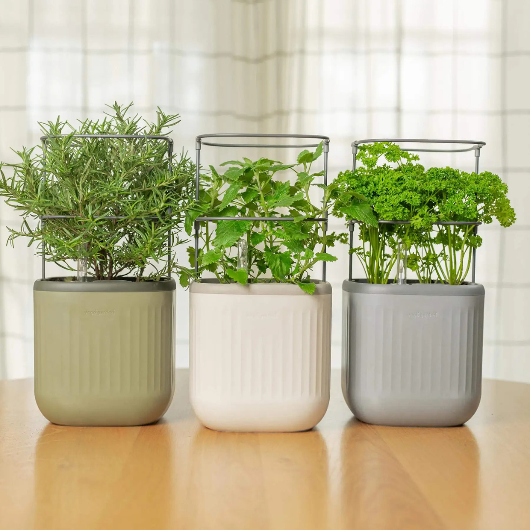 Vego EZ Self-Watering Mini Planter Pot with Trellis