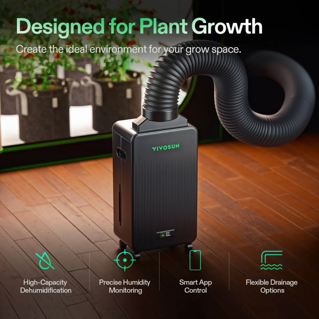 Vivosun AeroDrain D12 Intelligent Environmental Dehumidifier, up to 12L/day, 2L Water Tank, with Temperature & Humidity Sensor Probe