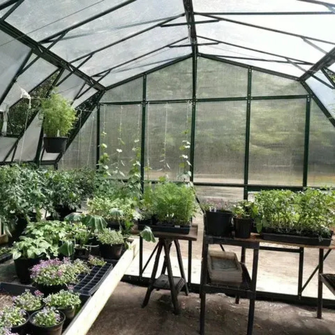 Grandio Summit 12x16 Greenhouse Kit