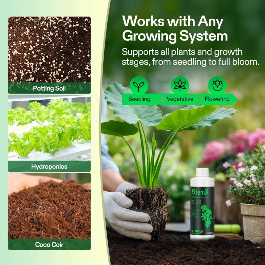 Vivosun StemX (0-0-2) Silica for Plants, Soluble Silicon Plant Supplement Fertilizer, Liquid Nutrient Solution for Strong Stems, Healthy Leaves, Boost Plant Resilience & pH Balance, 8 oz