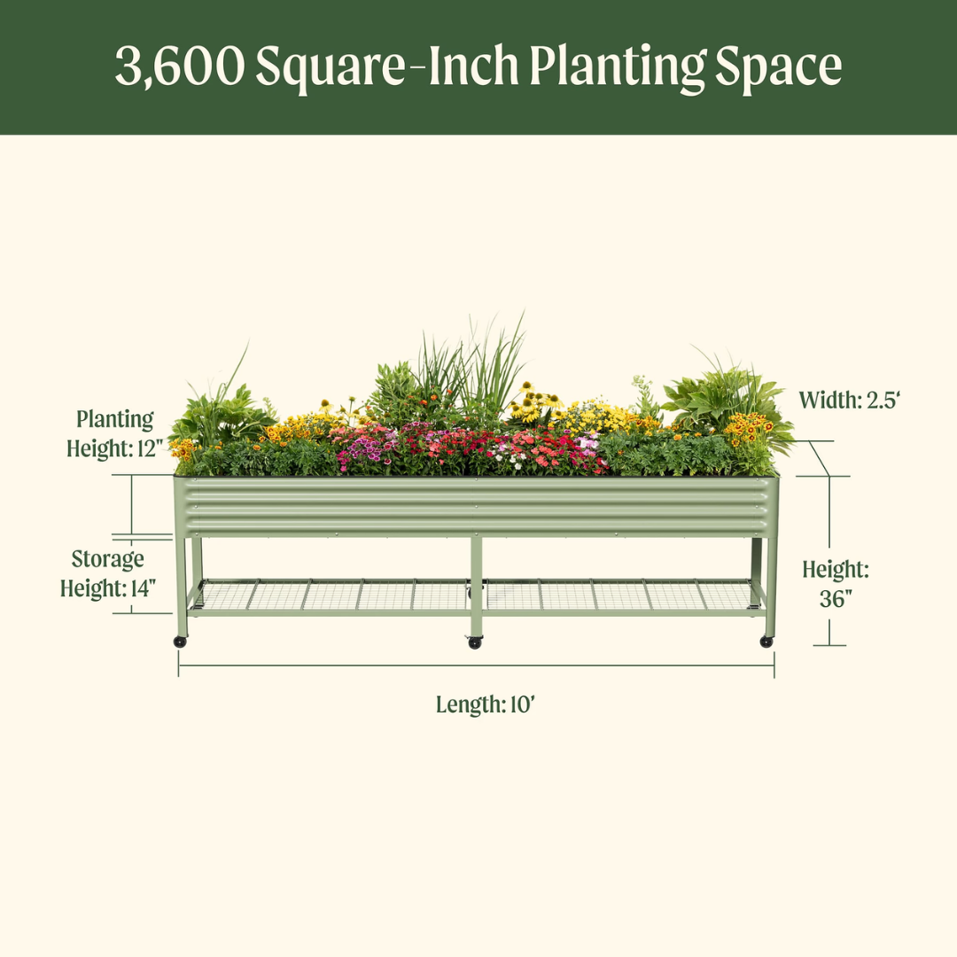 Vego Elevated Garden Bed - Jumbo Series 2.5' x 10' Wheels Included