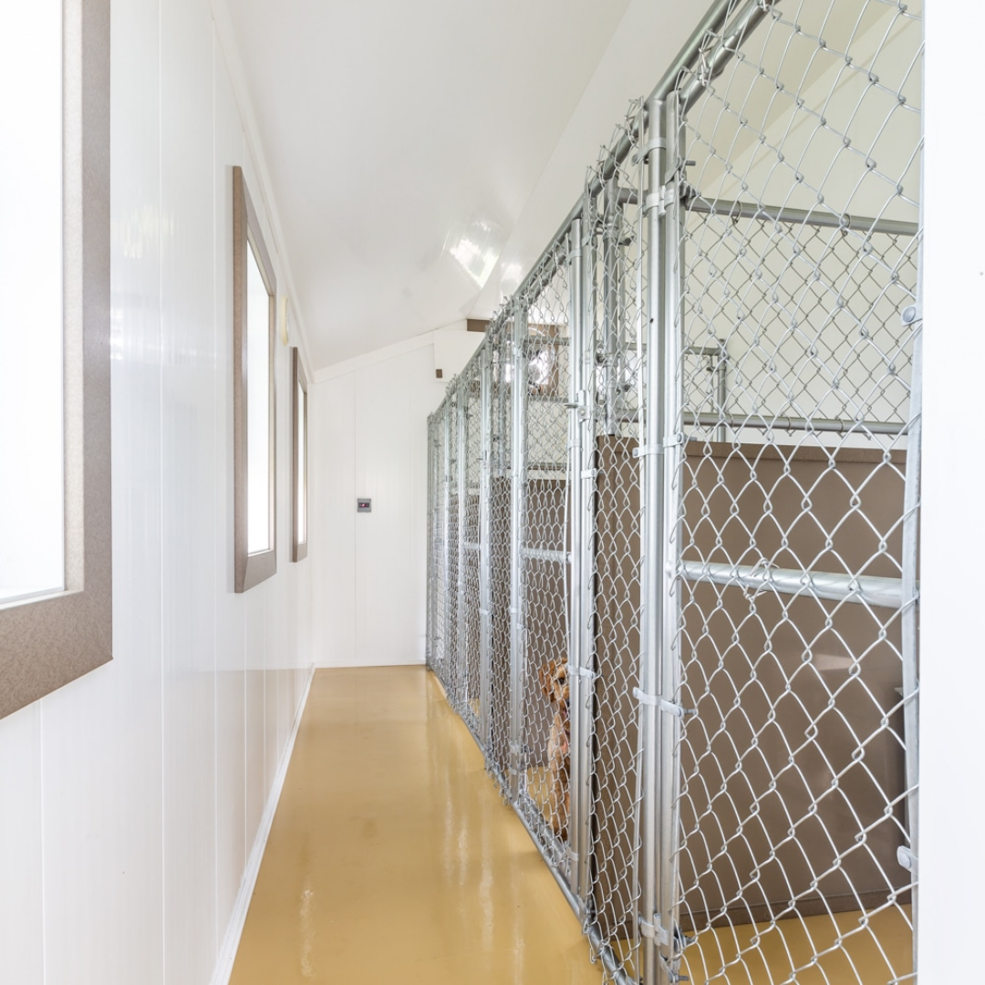 Bird in Hand Chainlink Kennel Fencing Panels 4 feet high