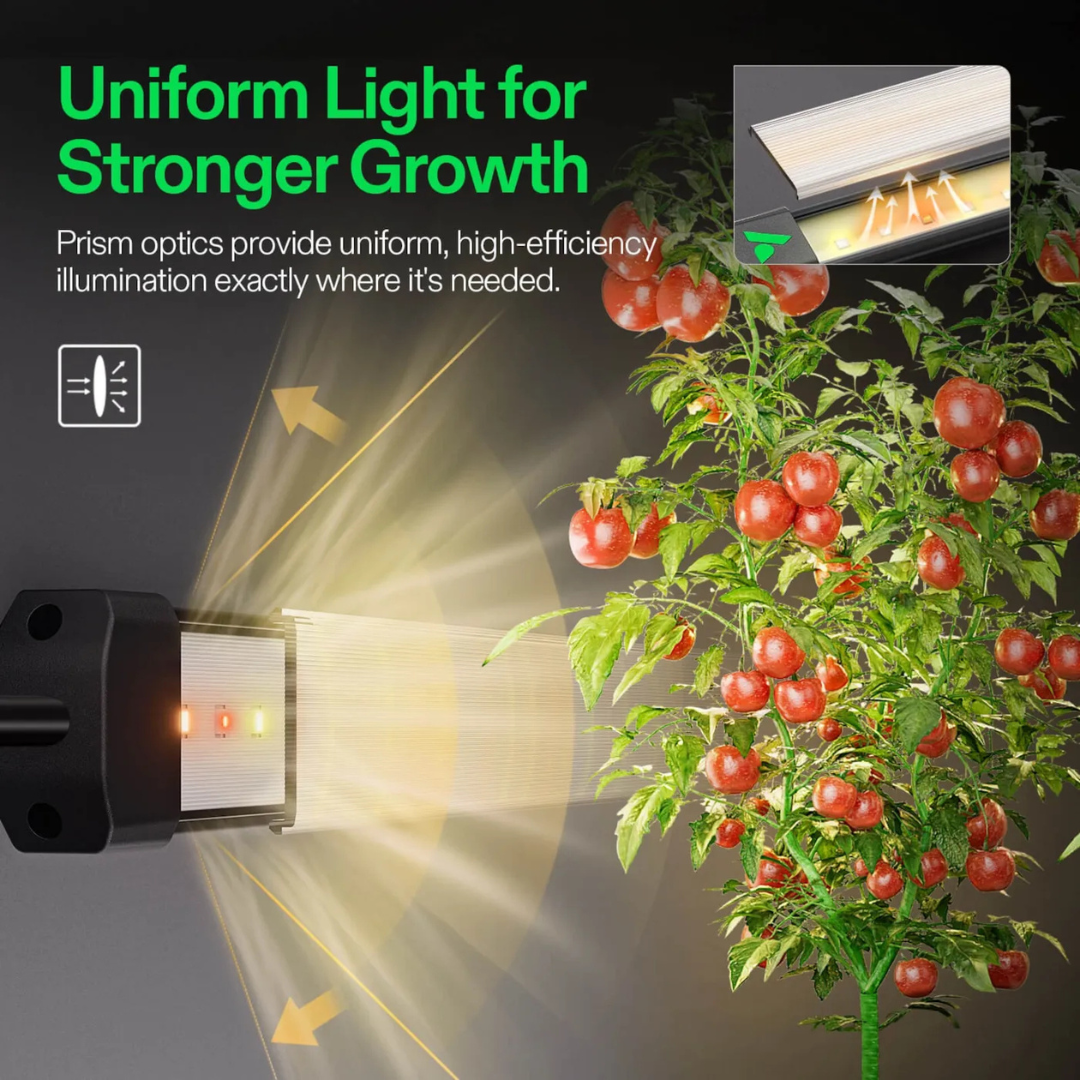 Vivosun LumaRay Side Lights (4-Bar), Full Spectrum LED Bar Lights, SGS Compatible