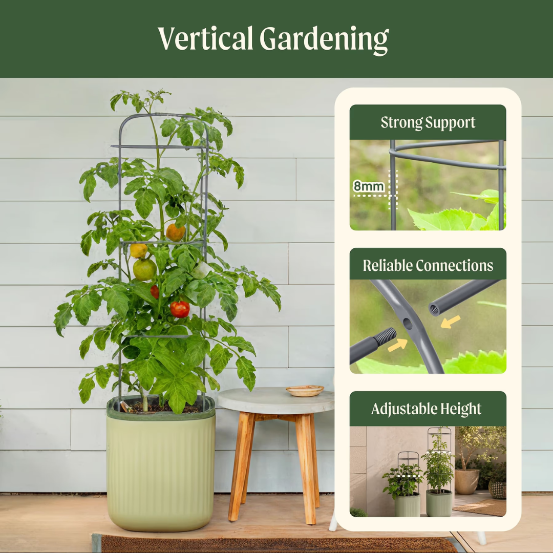 Vego EZ Self-Watering Tomato Planter with Trellis Gen 2