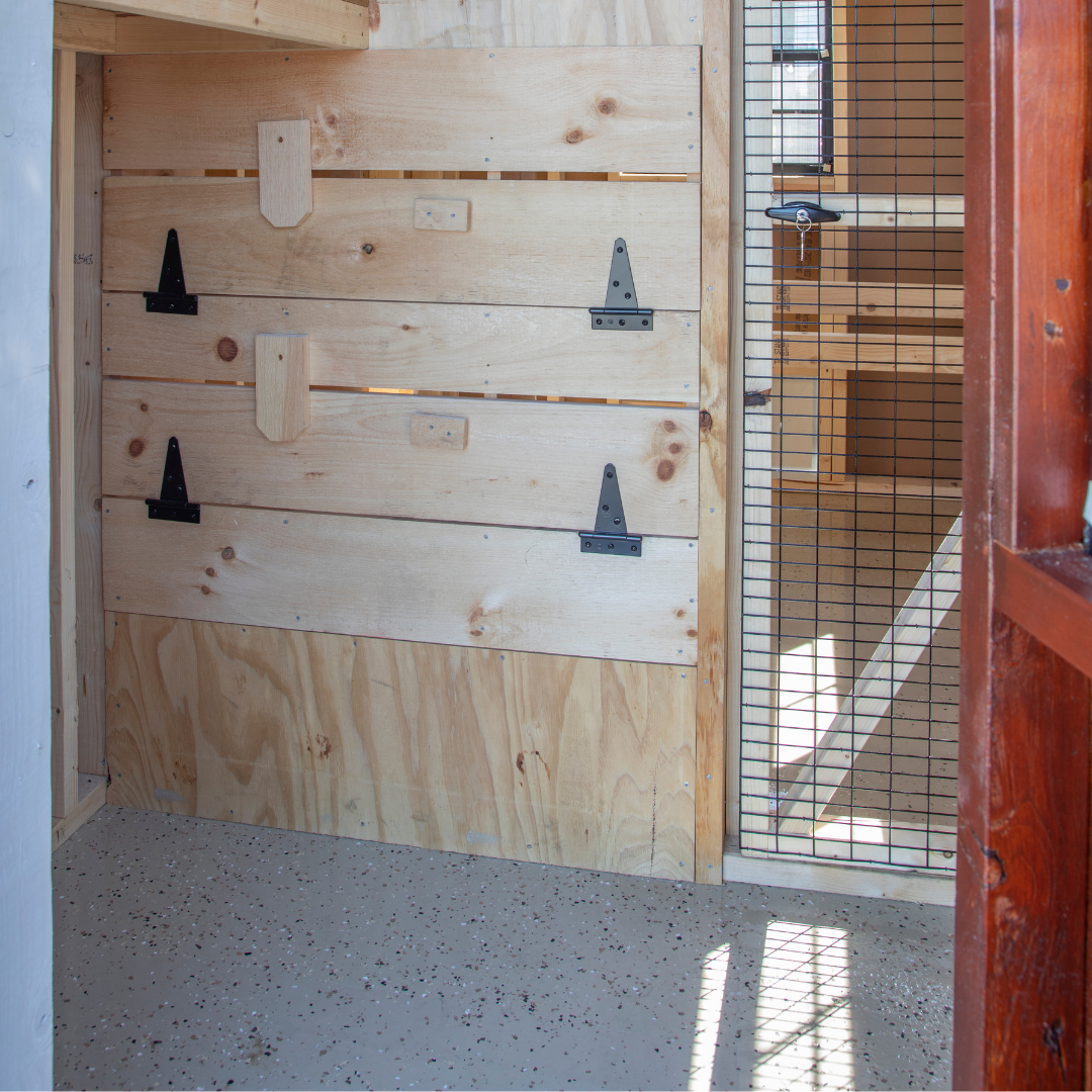 Bird-in-Hand 6×10 A-Frame Chicken Coop