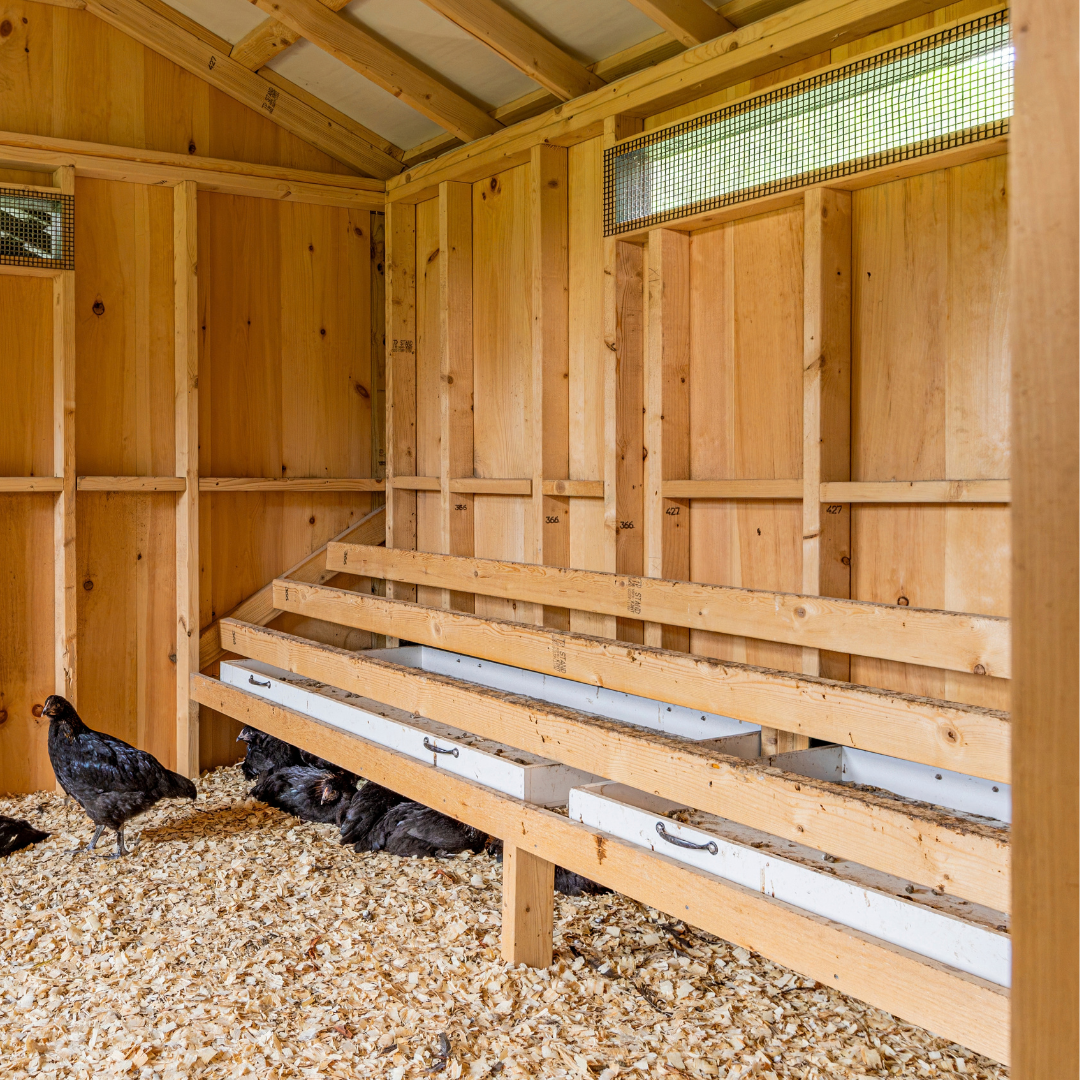 Bird in Hand 18×50 A-Frame Combination Chicken Coop