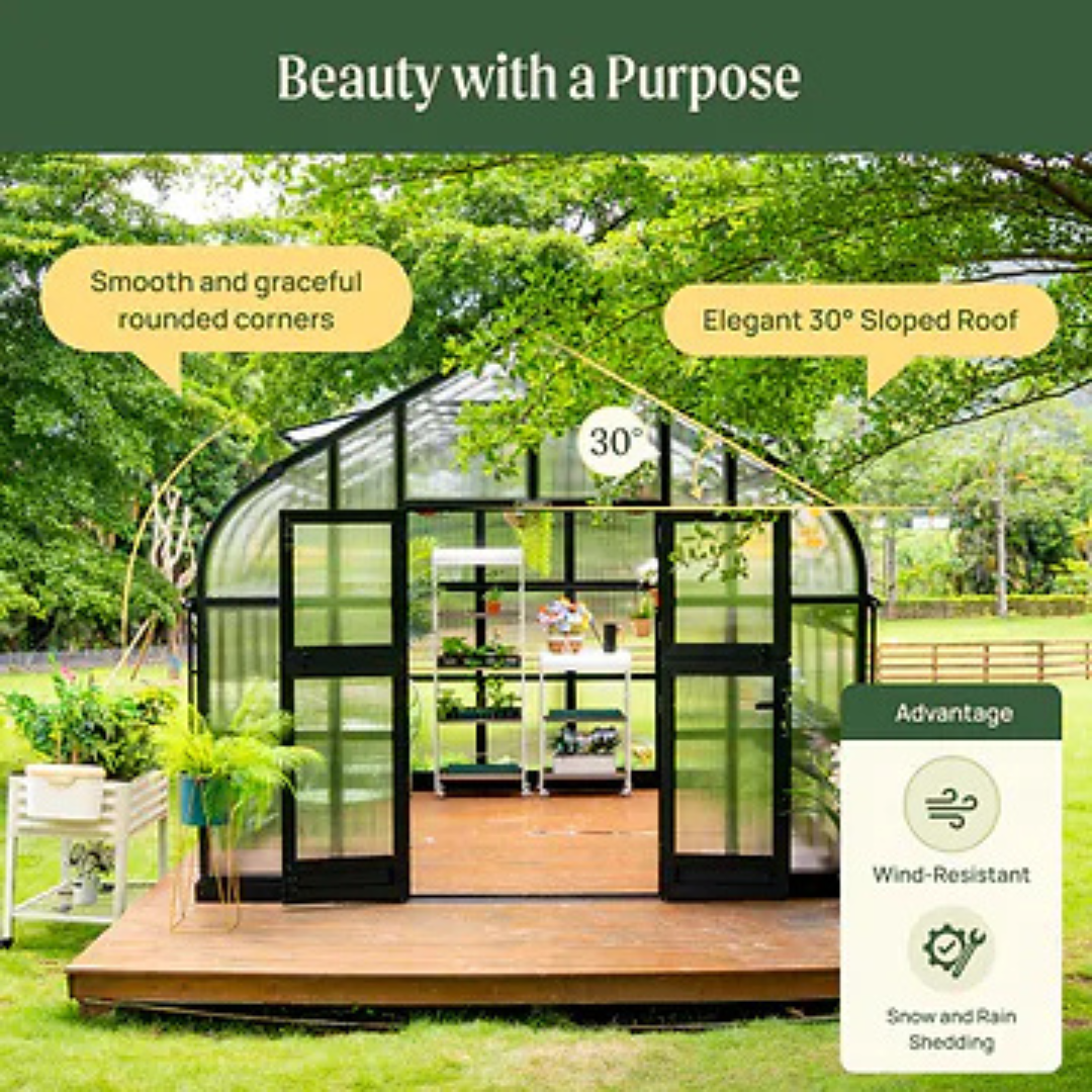Vego Pacific Greenhouse - 10.5ft Wide