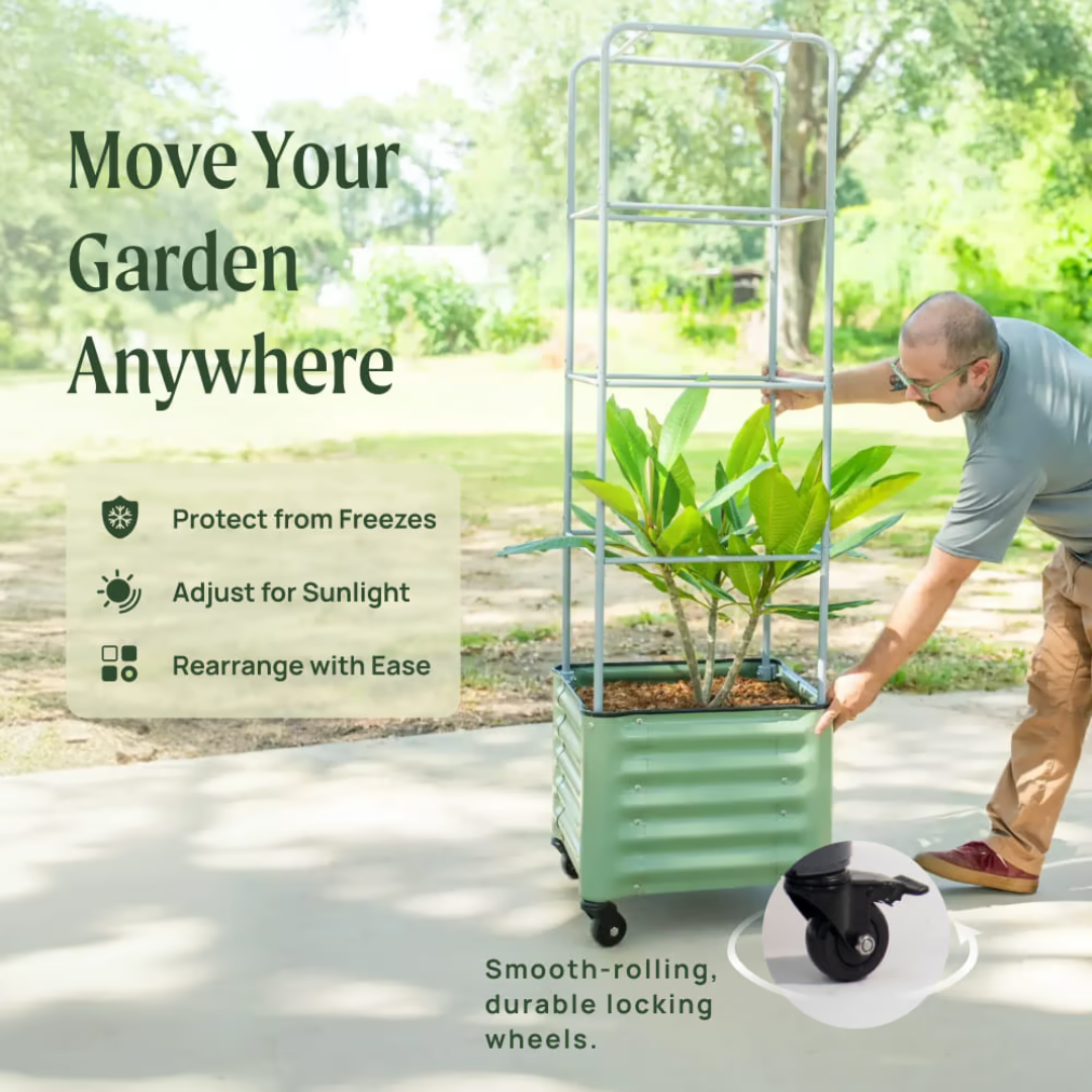 Vego Classic Rolling Cube Tomato Planter