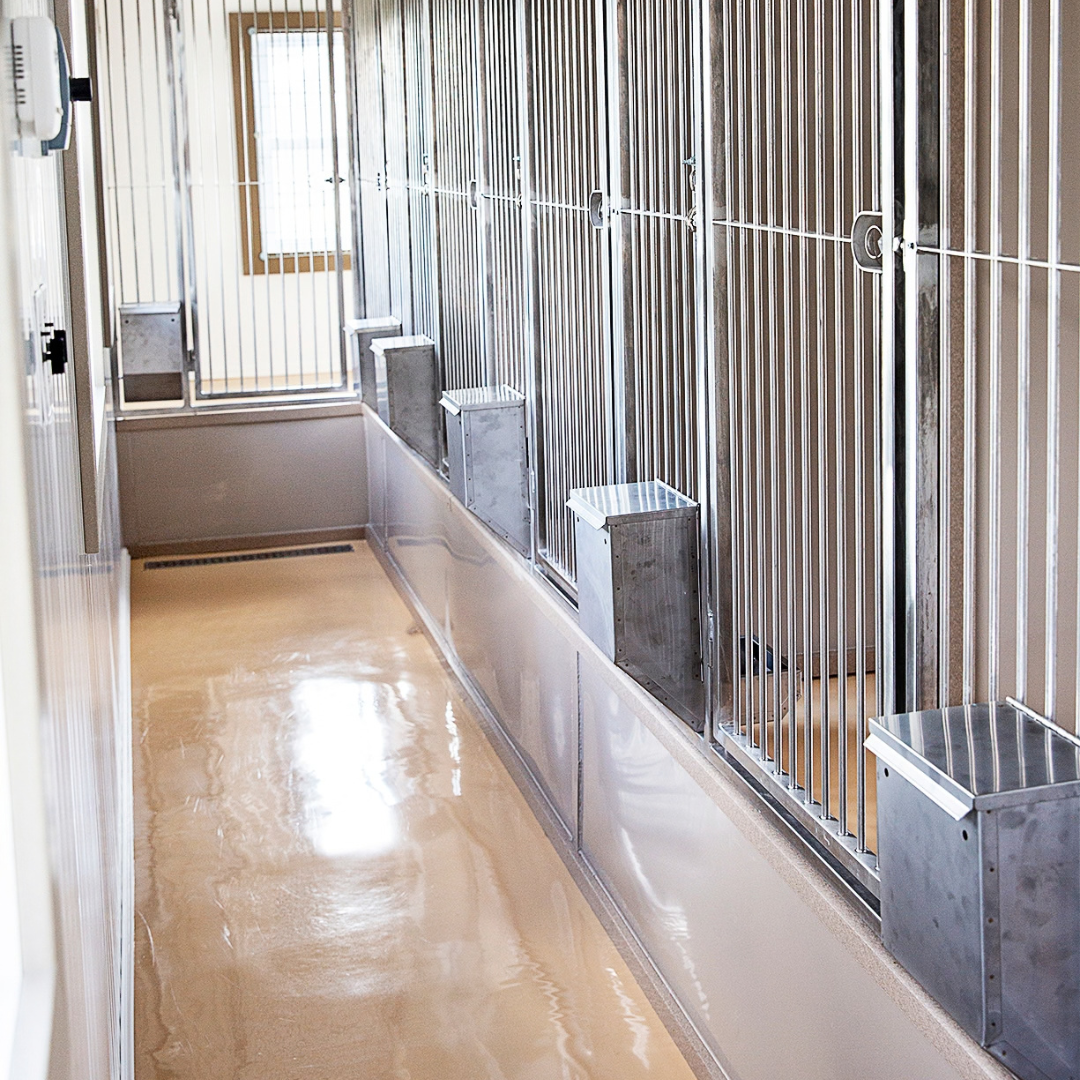 Bird in Hand 14×34 6-Run Commercial Kennel