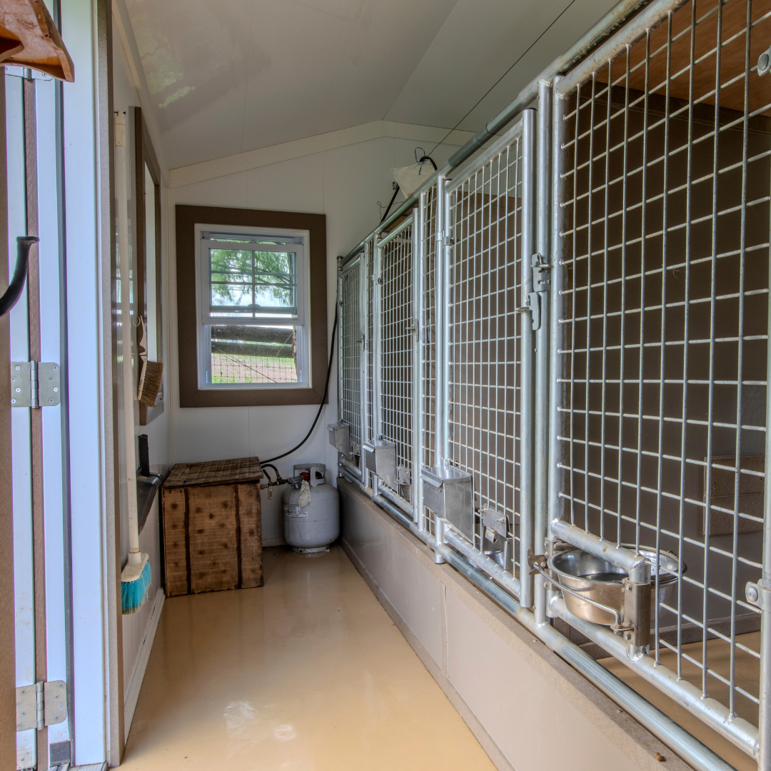 Bird in Hand 12×17 5-Run Commercial Kennel