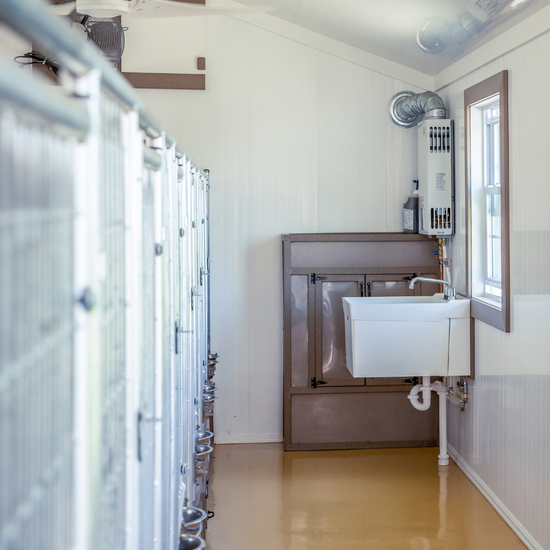 Bird in Hand 14×32 8-Run Commercial Kennel