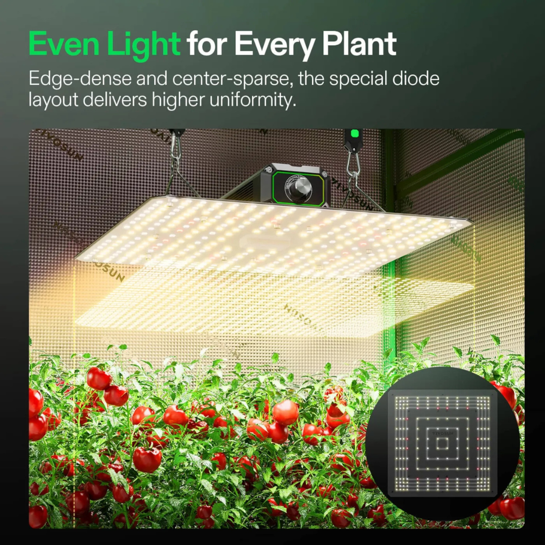Vivosun LumaLight 100W LED Grow Light, Full Spectrum Plant Light, Smart Dimmable & High PPFD for Indoor Plants Seedling Vegetables Bloom