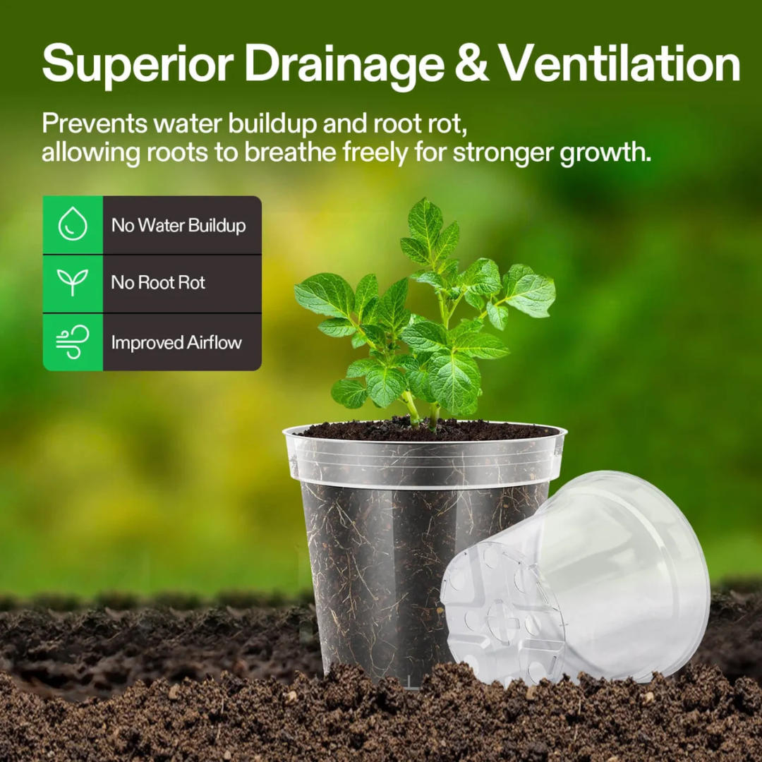 Vivosun 40 Packs 3/4/5/6 Inch Clear Nursery Pots with Drainage Holes