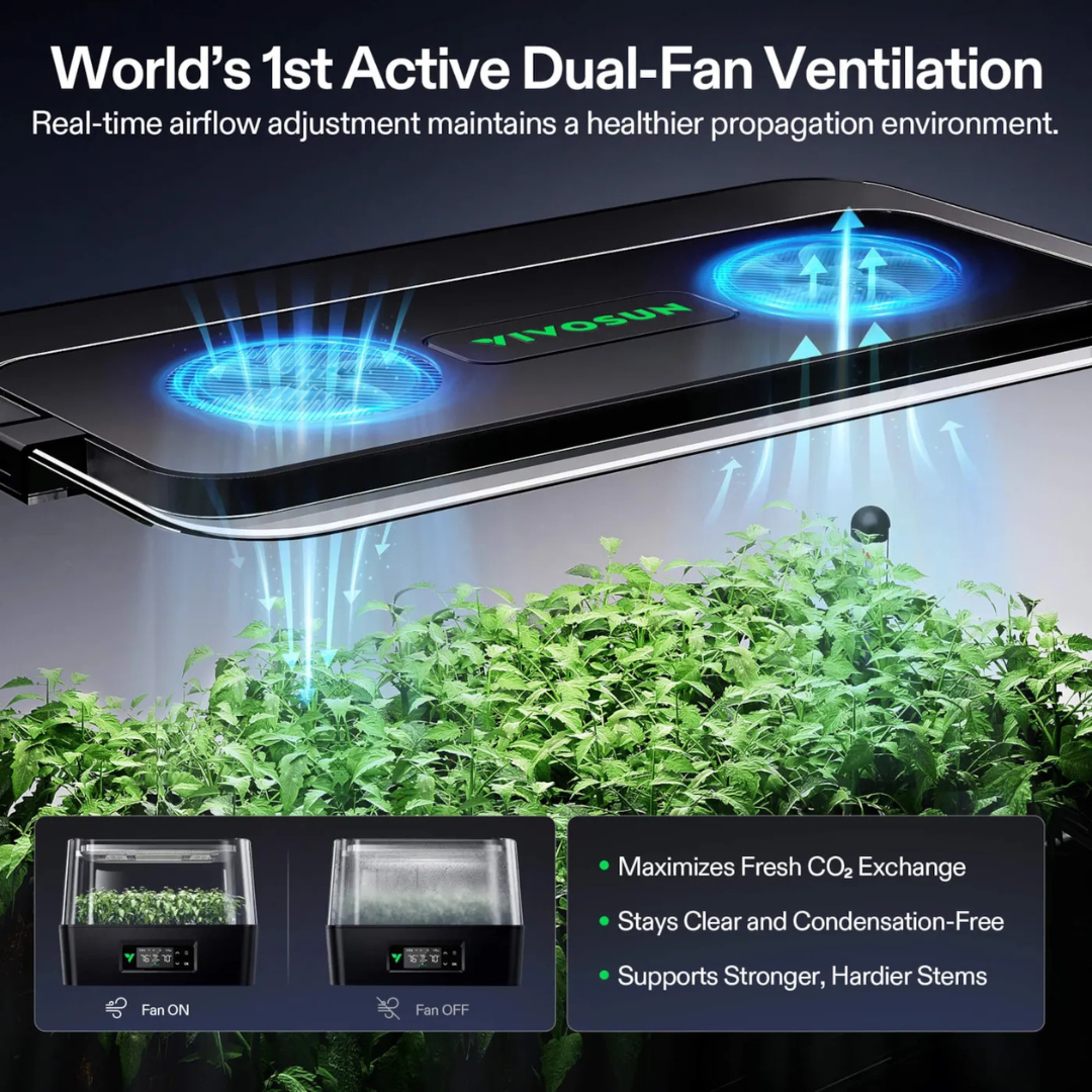 Vivosun VSeed S40 Smart Seedling Box, Indoor Seed Starting & Cloning System with Ebb & Flow Irrigation, 2 Pack