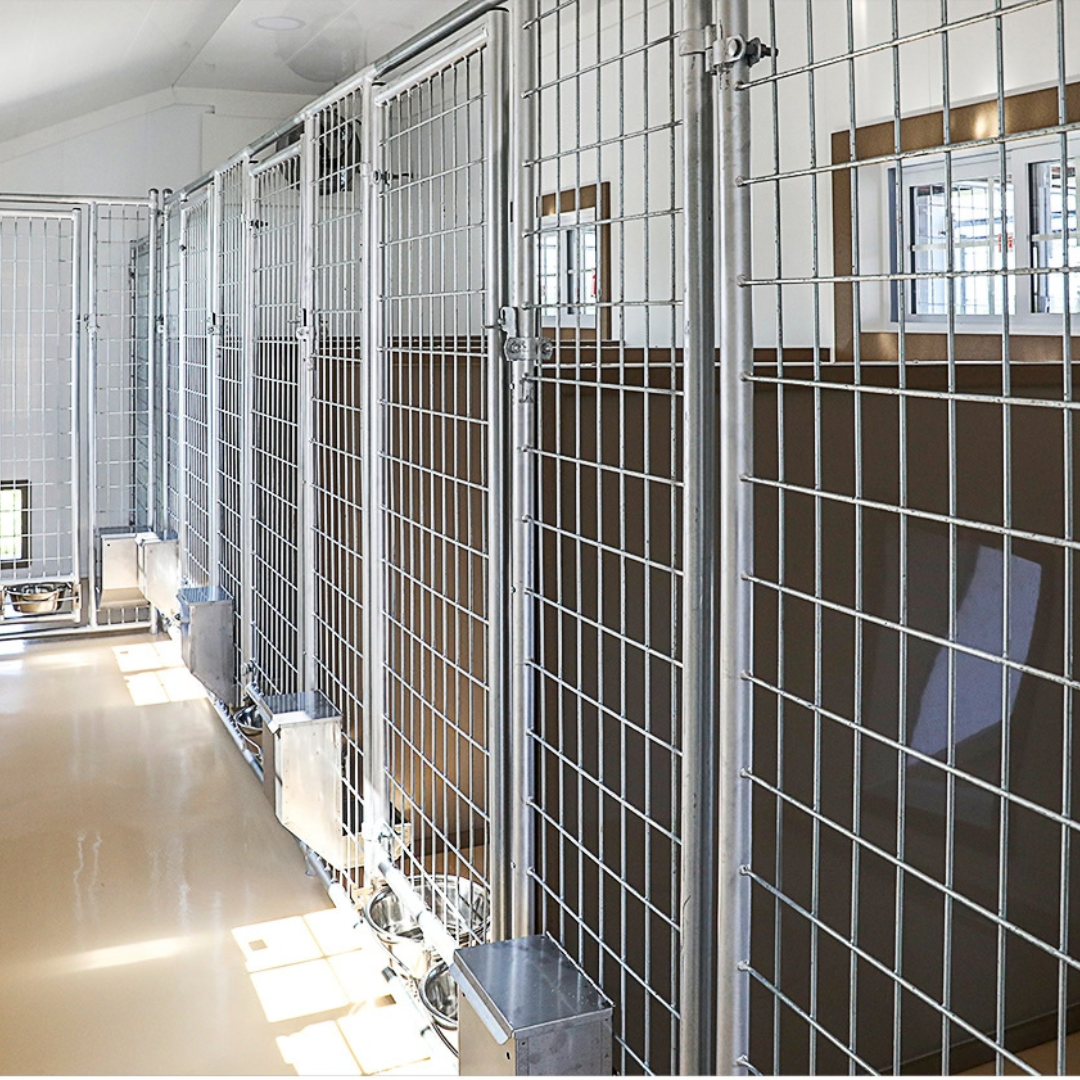 Bird in Hand 14×30 5-Run Commercial Kennel With Lobby