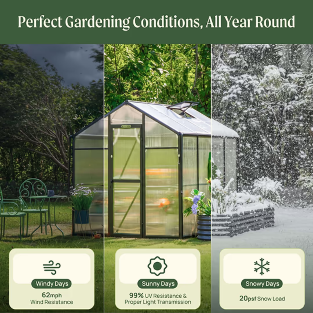 Vego Junior Victorian Greenhouse - 6.5ft Wide