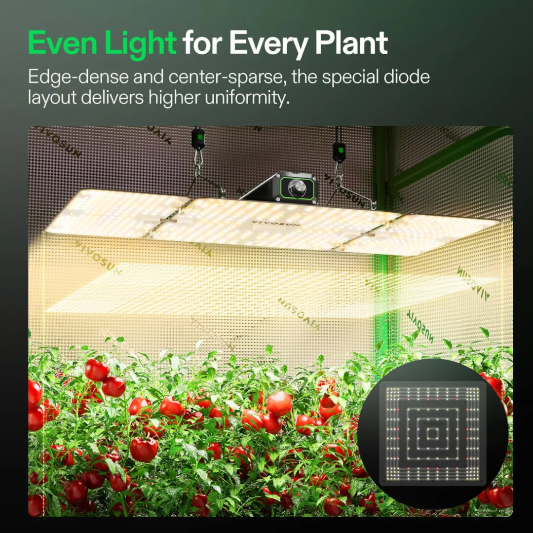 Vivosun LumaLight 200W LED Grow Light, Full Spectrum Plant Light, Smart Dimmable & High PPFD for Indoor Plants Seedling Vegetables Bloom