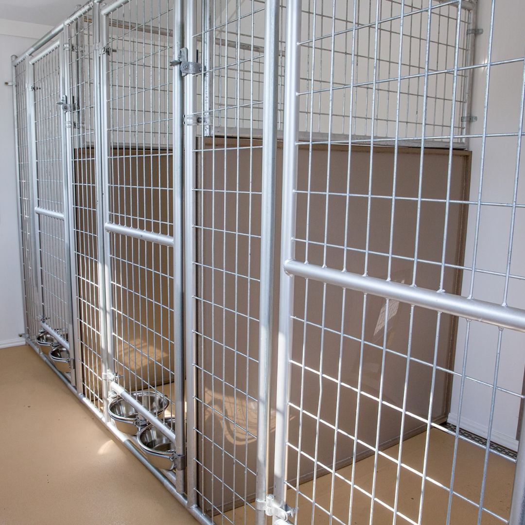 Bird in Hand 12×18 3-Run Commercial Kennel