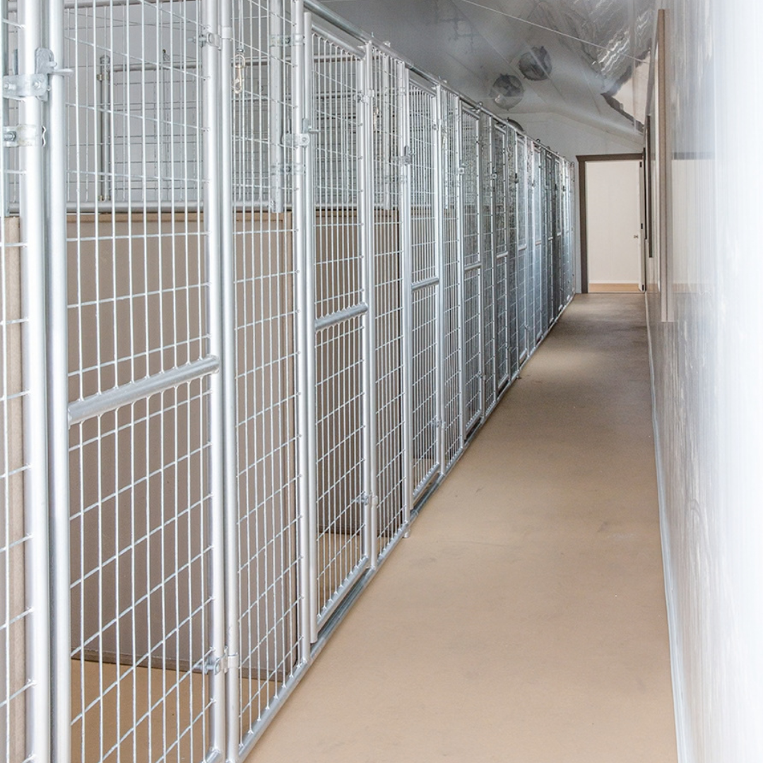 Bird in Hand 14×54 12-Run Commercial Kennel