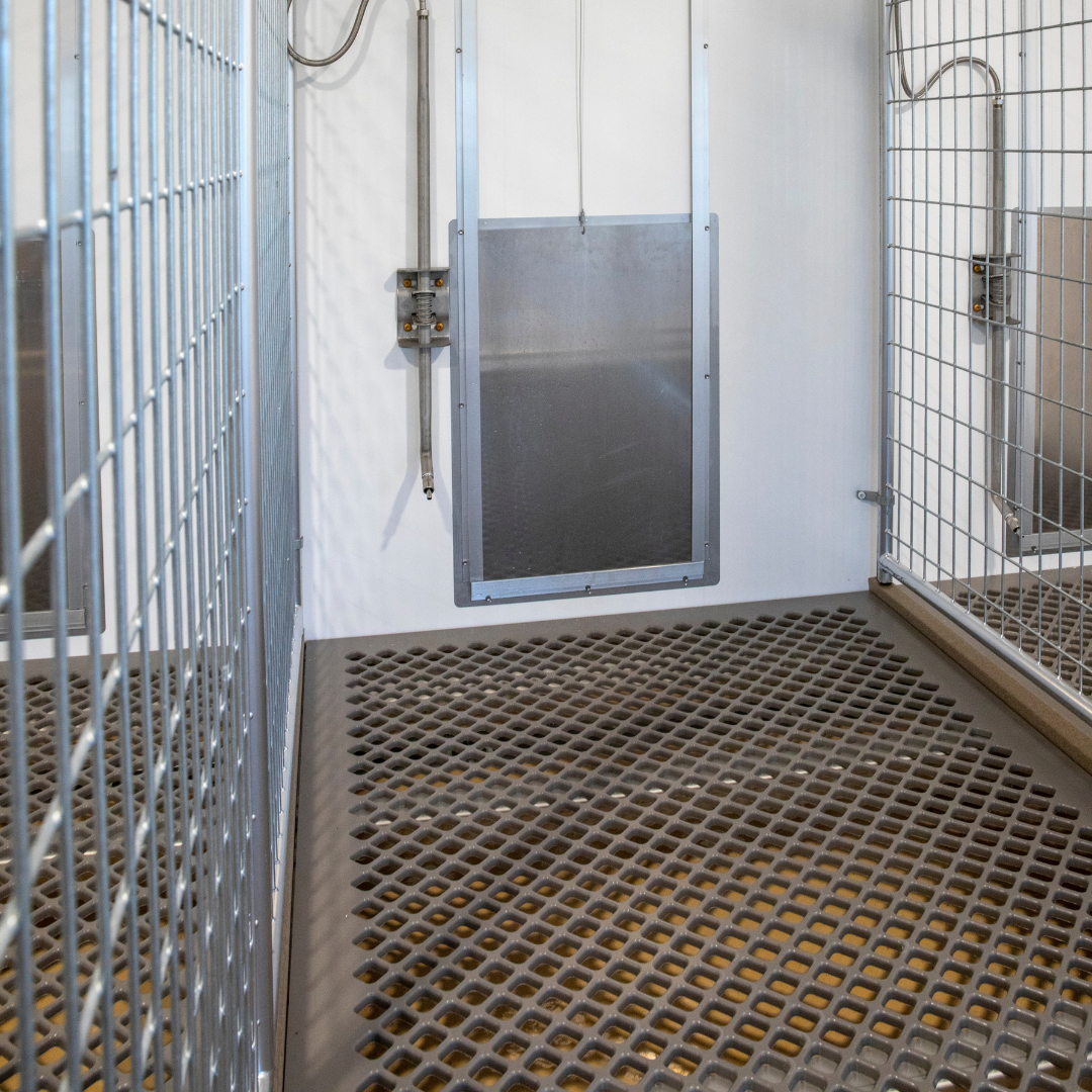 bird in Hand U-Shaped 40-Run Dog Commercial Kennel