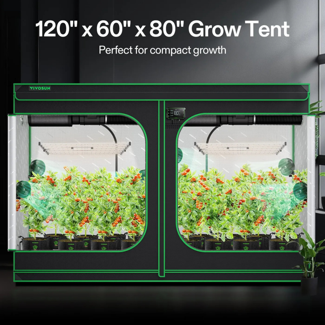Vivosun Grow Tent 5x10 S105, 12-20 Plants Use, 600D Light-proof Oxford, 60″ x 120″ x 80″, For Indoor Plants Growing