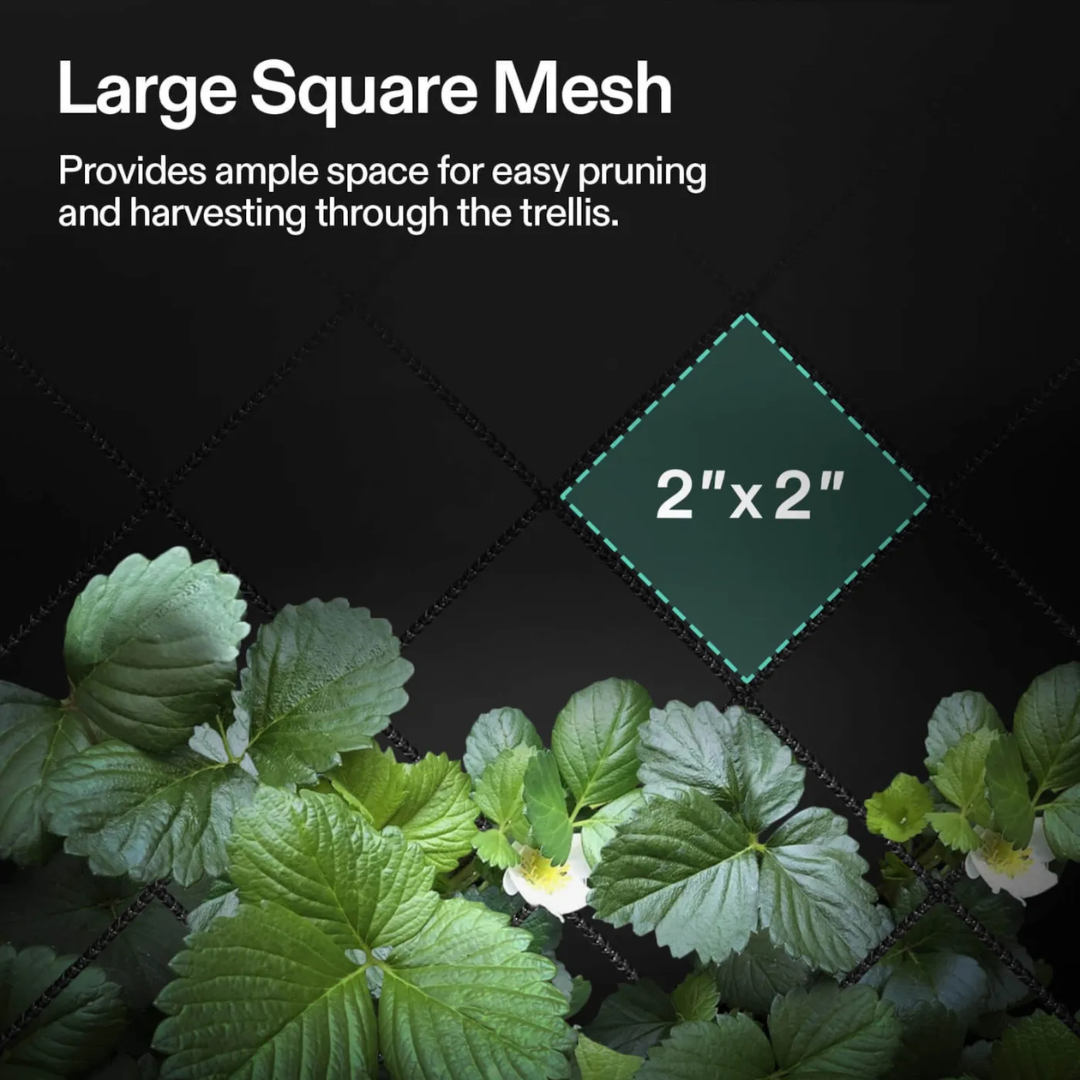 Vivosun Trellis Net for VGrow Smart Grow Box, 1 x 1 ft