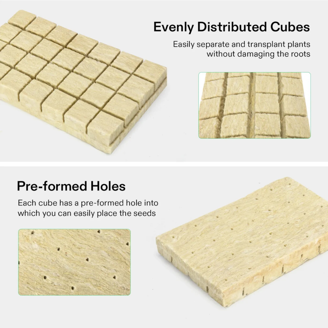 Vivosun 1.6" Rockwool Grow Cubes