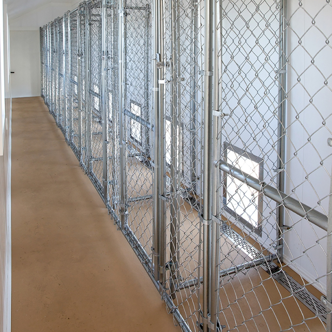 Bird in Hand 12×42 8-Run Commercial Kennel With A Lobby
